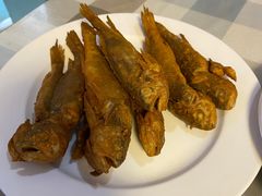 -华春餐馆(鱼山路店)