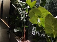 -涟LIAN·泰式按摩·MASSAGE·SPA(华强北店)