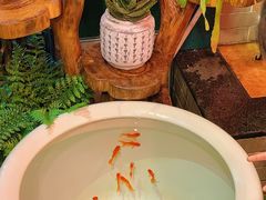 -山水茶艺馆·点心粤菜·30年老字号