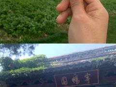 -惠山古镇·寄畅园