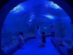 -顺德南宏海立方海洋公园