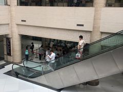 -上海中医药大学附属曙光医院(东部)