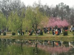 -堤角公园