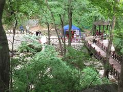 -陕西省红河谷森林公园