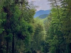 -仙霞关景区