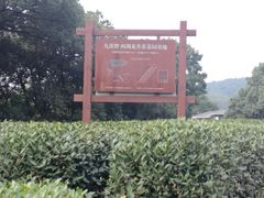 -西湖风景区十里琅珰-五云山