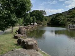 -白马涧龙池景区