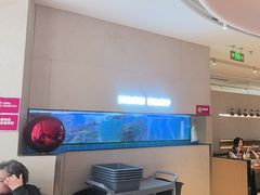 -老板恋上鱼(恒隆广场店)