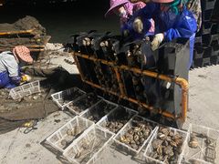 -阿弟特色海鲜餐厅·大排档(平潭店)