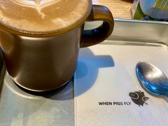 -WHEN PIGS FLY当猪飞