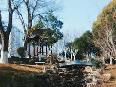 -月湖风景区