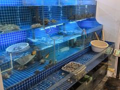 -星记小馆·小蓝龙·老南京砂锅菜(上海路店)