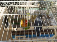 -伊隆斋(什刹海店)