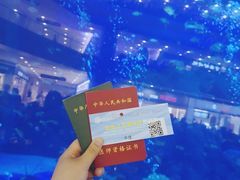 -成都浩海立方海洋公园