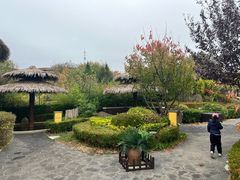 -大连金石滩绿发温泉假日酒店