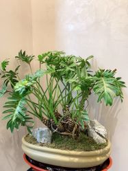 -新蝶变皮肤管理中心