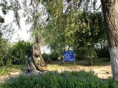 -长春北湖公园
