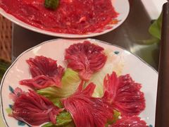 -朱光玉火锅馆(正弘城店)