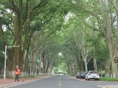 -华中师范大学-图书馆