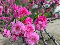 -朝阳公园