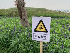 -光明小镇欢乐田园