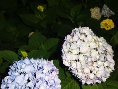 -常州古运河南大街文化旅游区-人民公园