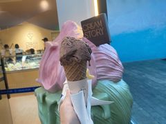 -CREAM STORY意大利手工冰淇淋&甜品(万象前海店)