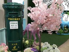 -苏小糖(鼓浪屿三丘田花园店)
