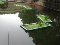 iphone_upload_pic-普陀山风景名胜区-法雨禅寺