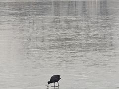 -济南国际园博园