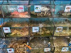 -范饭椰林川湘味海鲜·椰子鸡(三亚湾椰梦长廊店)