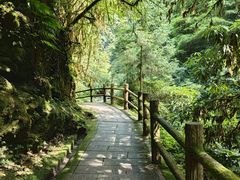 -西岭雪山大飞水景区
