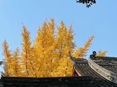 -山城年华老火锅(玉林店)