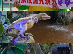-中国西峡恐龙遗迹园