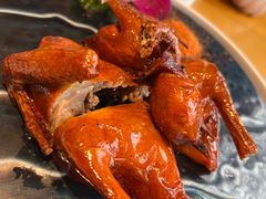 -大鸽饭(马王堆店)