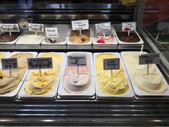 -Dooley's Premium Ice Cream