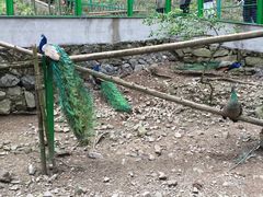 -藏龙百瀑风景区