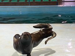-洛阳龙门海洋馆