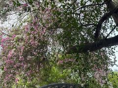 -深圳国际园林花卉博览园