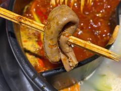肥肠结子-钢管厂五区小郡肝火锅串串香(总店)