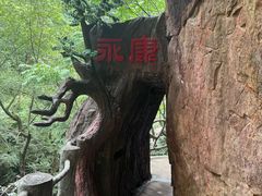 -浙北大峡谷