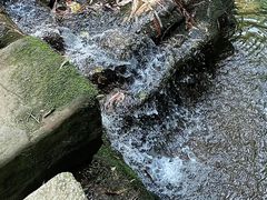-凤栖山
