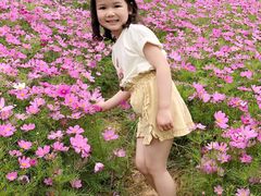-大塘金香草谷