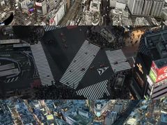-涩谷全向十字路口