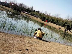 -夏河溪乡野公园