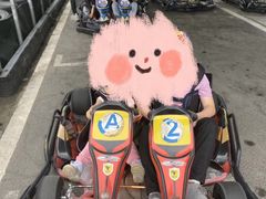 -杭州湾海上花田景区