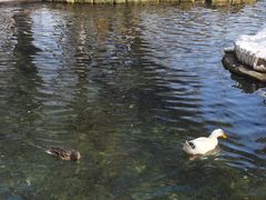 -水磨沟公园