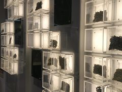 -广东中医药博物馆
