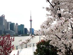 -北外滩滨江绿地