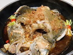 -芙蓉堂(武汉天地店)